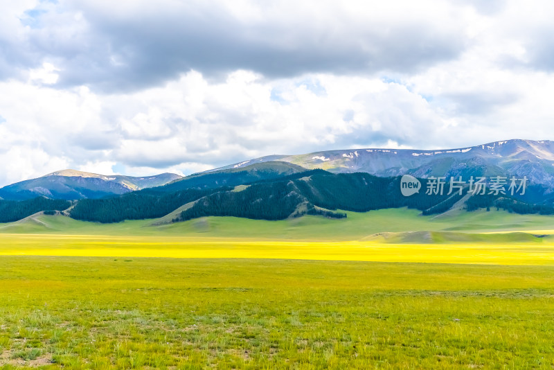 新疆赛里木湖草场
