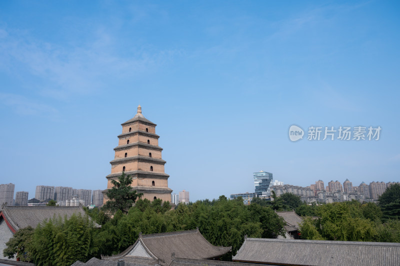 陕西西安晴朗天气的大慈恩寺大雁塔