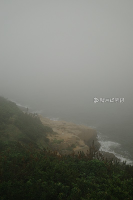 大雾笼罩下的山林景色