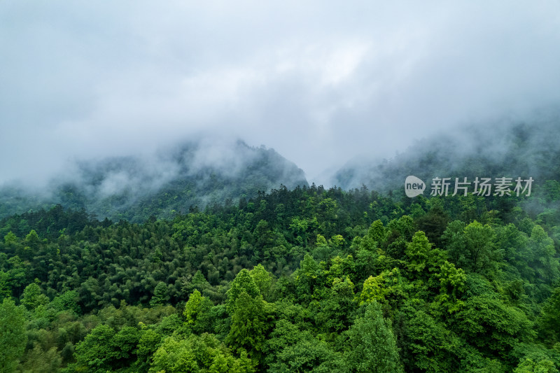 山林云雾缭绕自然景观