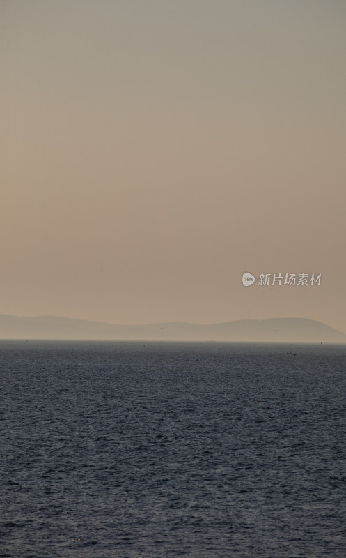 山东烟台蓬莱阁八仙过海景区海天之间海鸥