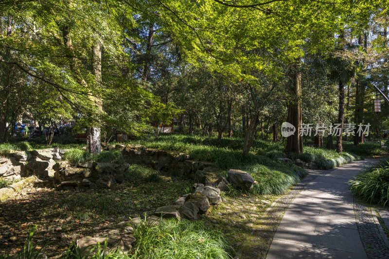 杭州西湖风景区曲院风荷风景