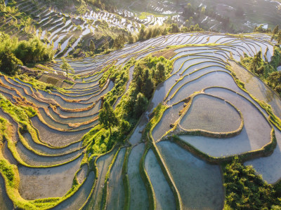 农村梯田风光