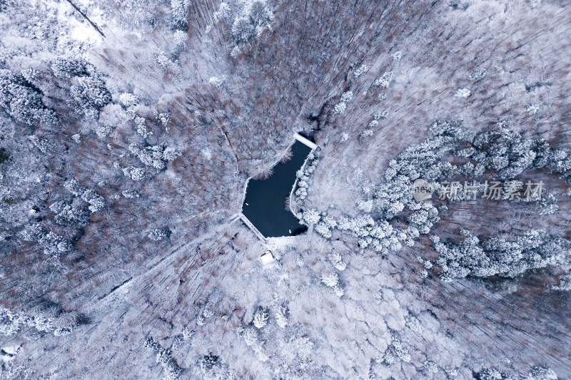 山王坪冬季雪景