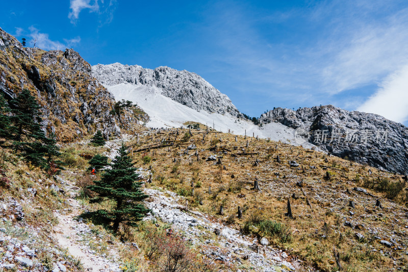 丽江玉龙雪山蚂蝗坝