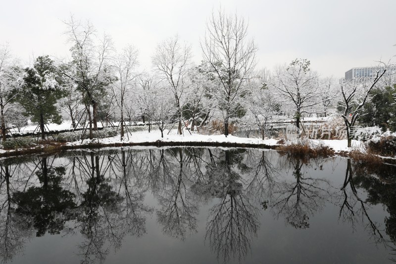 阿里巴巴西溪园区雪景