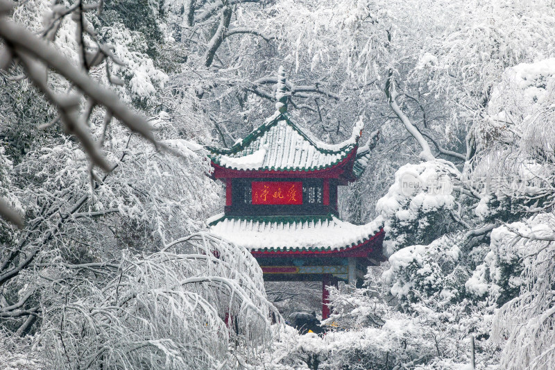 爱晚亭雪景