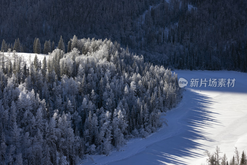 冬日新疆喀纳斯雪覆森林景观