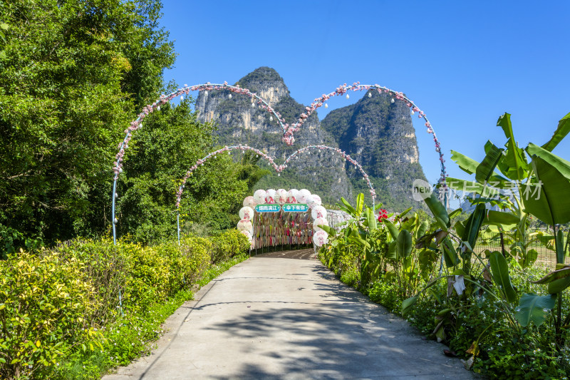 阳朔大榕树景区