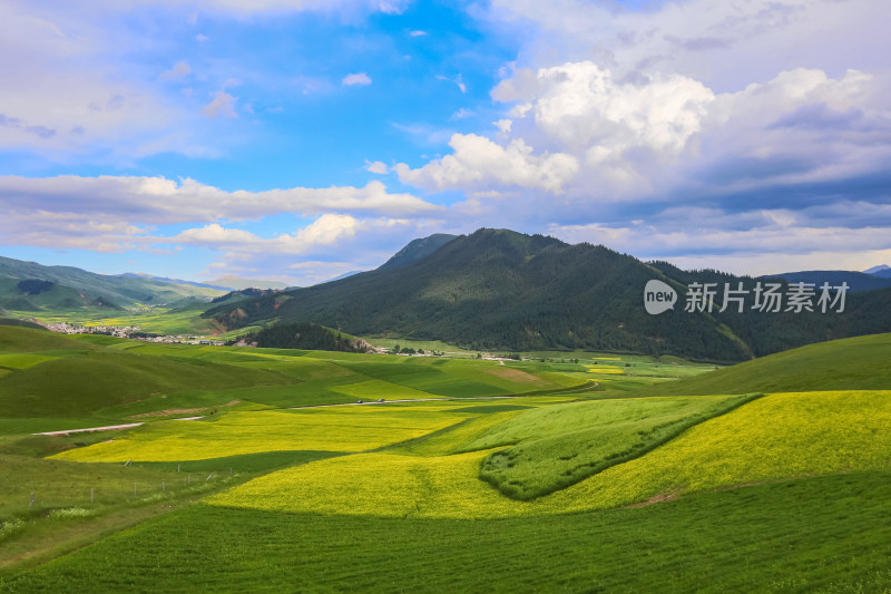 青海祁连山自然风光