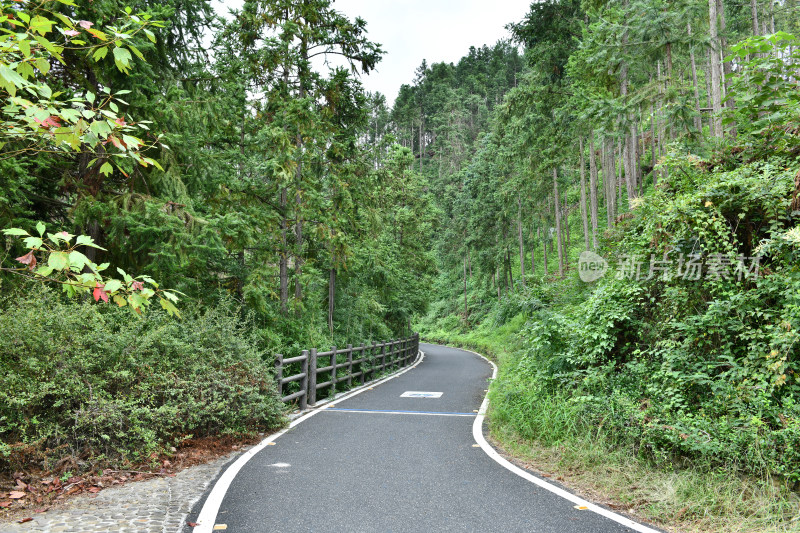 绿色步道，生态环境