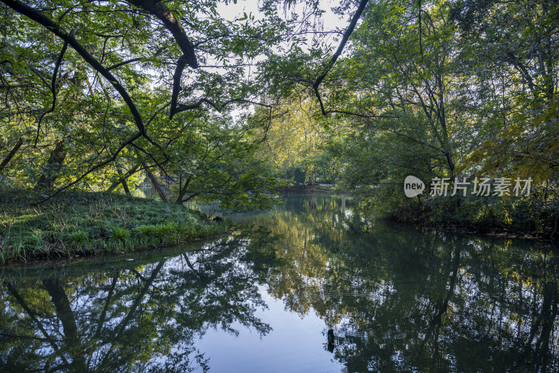 杭州西湖花港观鱼风景