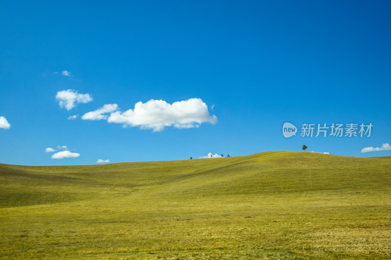 呼伦贝尔大草原