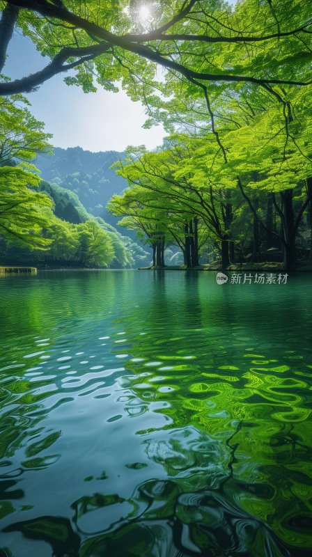 水面湖泊绿色自然宁静森林湖面背景