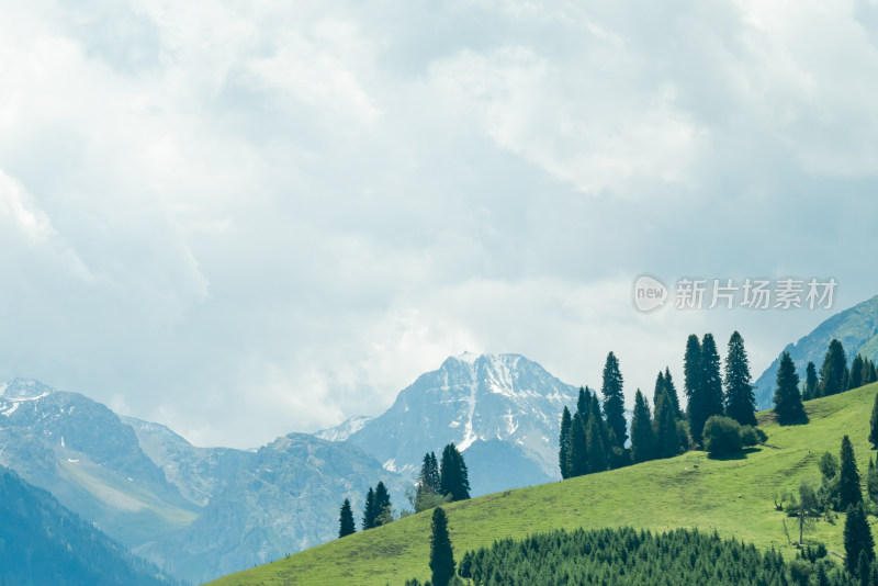 夏日，新疆恰西草原风光