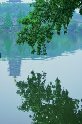 晨雾弥漫的西湖景区