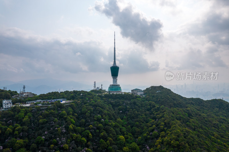 深圳梧桐山航拍图