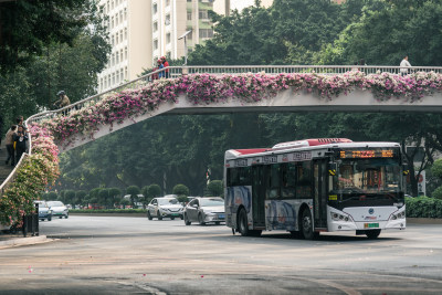 城市中鲜花覆盖的天桥景观