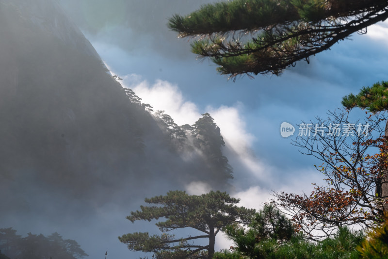 天下第一奇山，安徽黄山云海风光