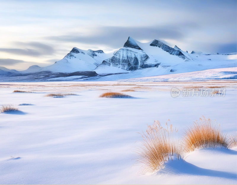 高山雪地