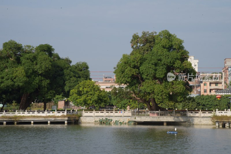 广东东莞：横丽湖沿湖风光