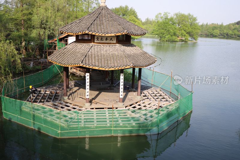 浙江杭州西湖风景区茅家埠黛色参天