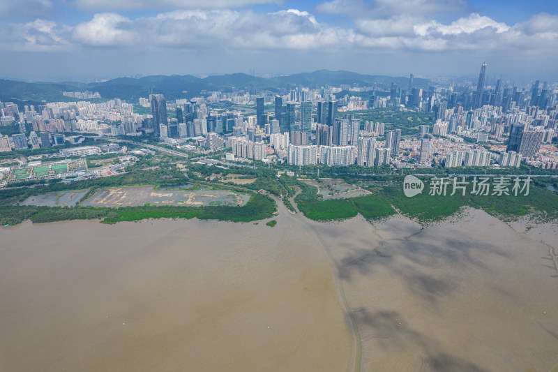 深圳市福田红树林保护区