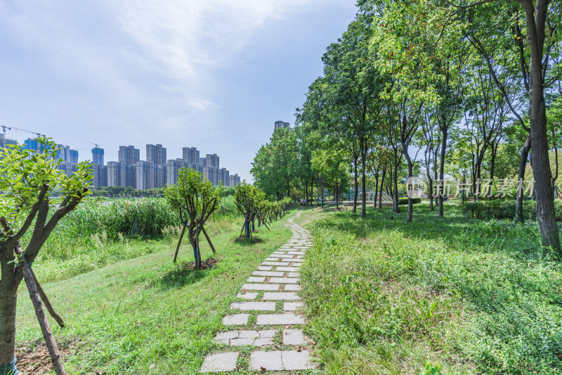 武汉洪山区杨春湖公园风景