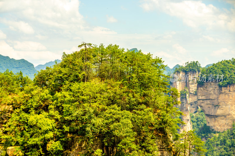 中国湖南张家界景区奇特山峰与茂密森林