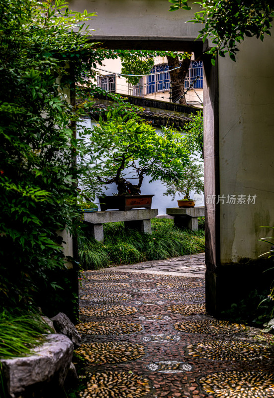 上海松江醉白池公园景点景观