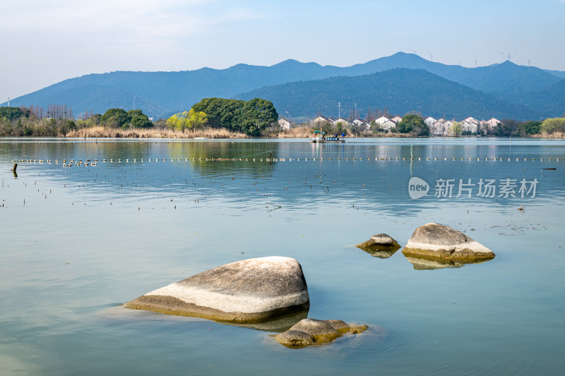 浙江湖州长田漾湿地公园春色