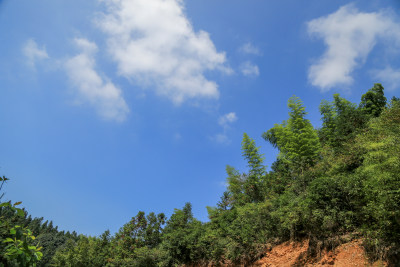 山脉 山坡 森林 蓝天