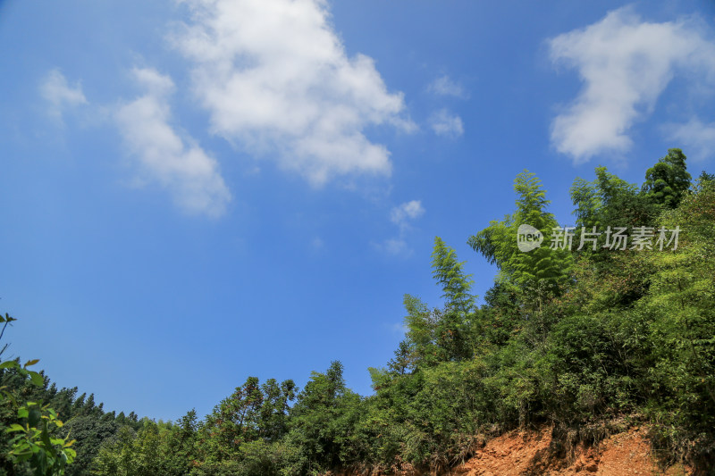 山脉 山坡 森林 蓝天