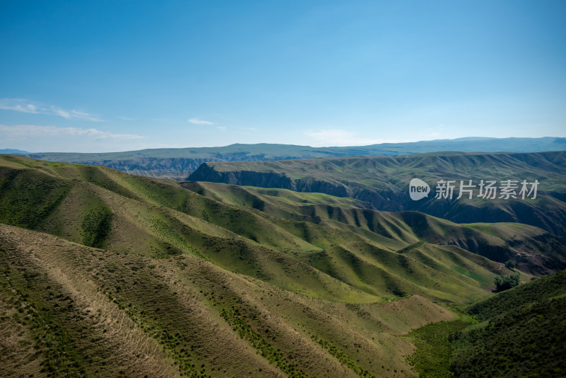 夏日，新疆喀拉峻大草原风光