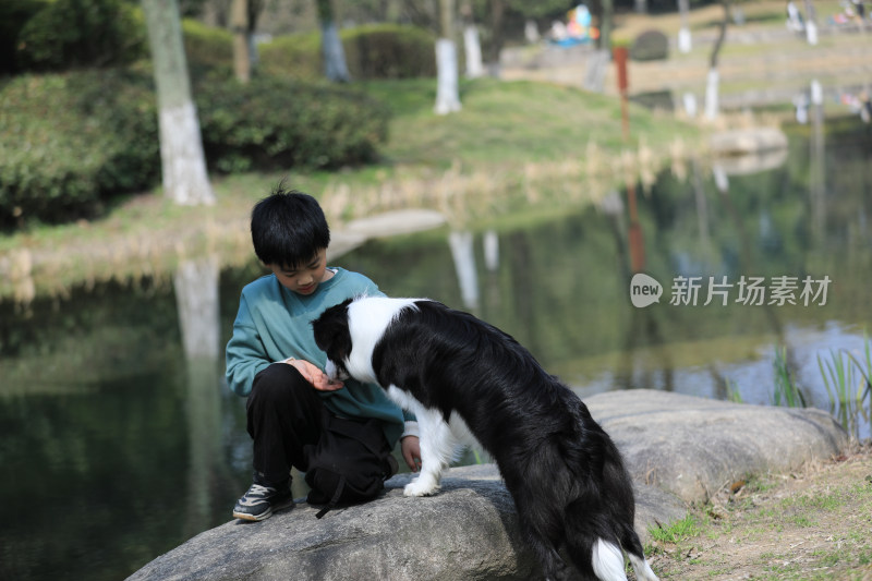 一个小男孩在公园里给他的宠物狗喂食物