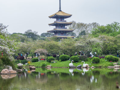 武汉东湖风景区景点风光