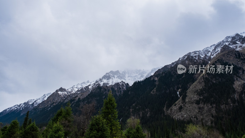 新疆伊犁夏塔雪山森林绝美风光