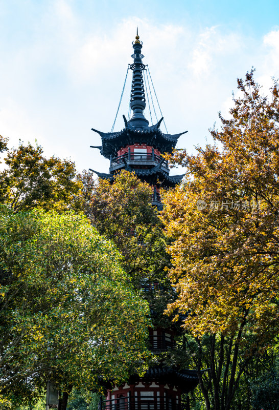 上海松江佘山森林公园自然建筑景观