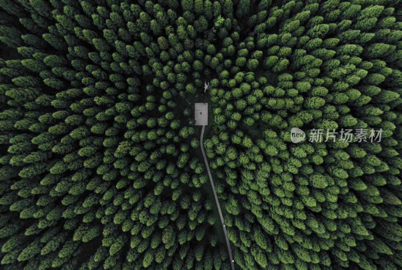 空中俯瞰绿意盎然的彭州中坝森林