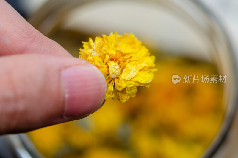 手中的一颗黄菊花茶特写