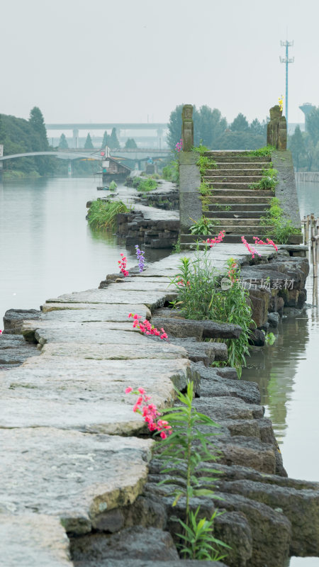 绍兴江南水乡避塘风景