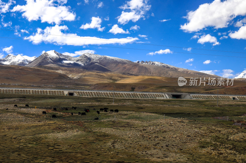 进藏唐古拉山雪山山脉