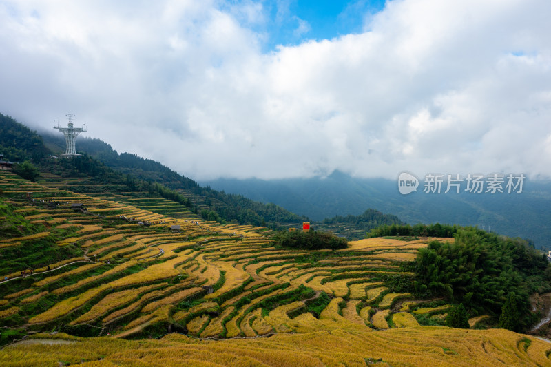 浙江丽水云和梯田景区风光