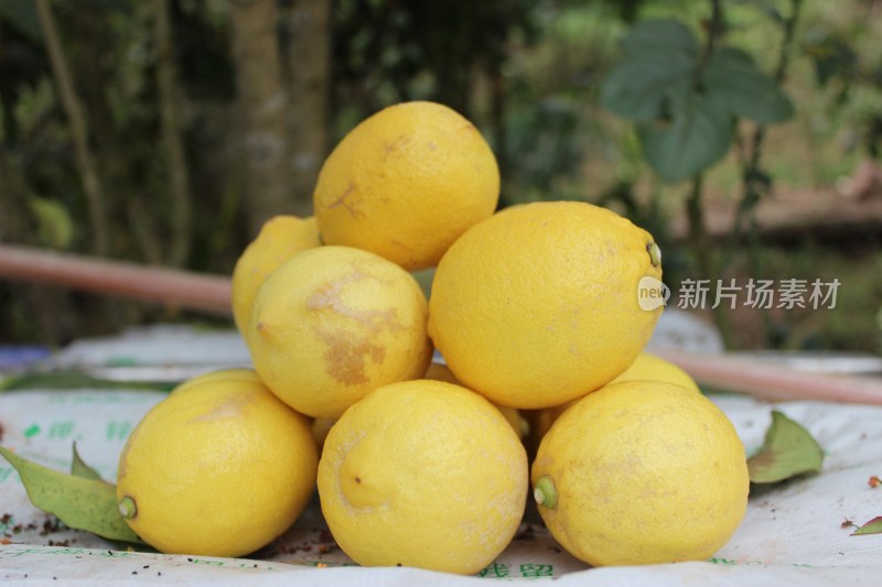 四川安岳黄柠檬水果淘宝详情主图广告创意