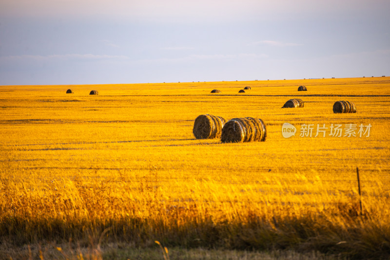 田野里的麦草堆
