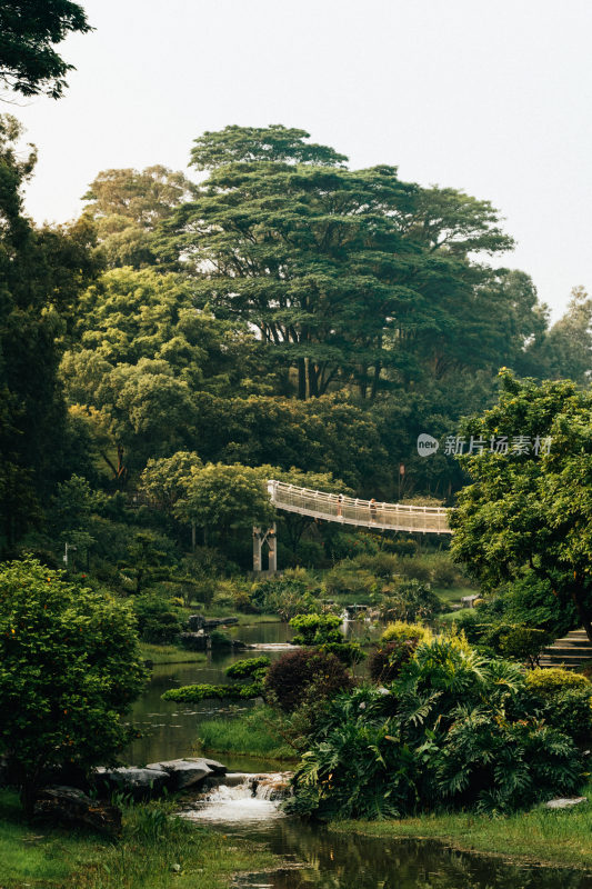 东莞植物园