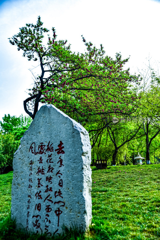 西安大雁塔大慈恩寺遗址公园