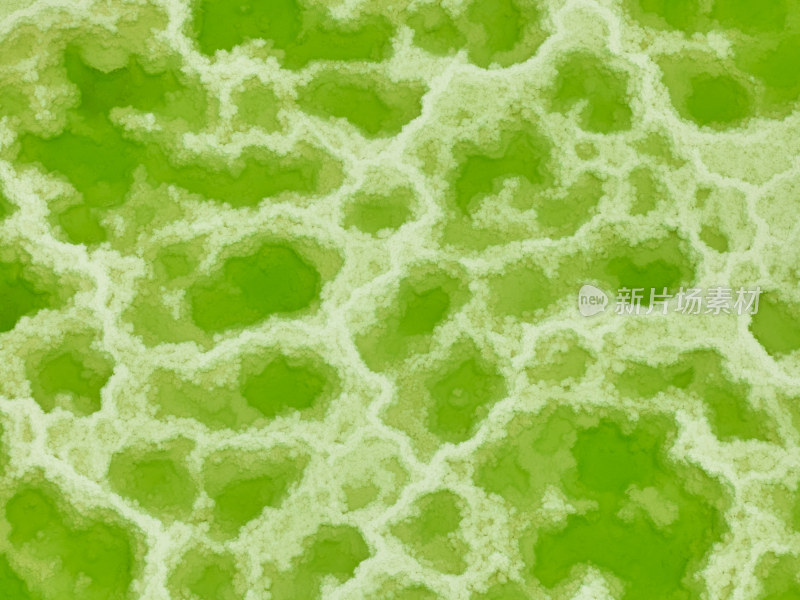 翠绿色的盐湖