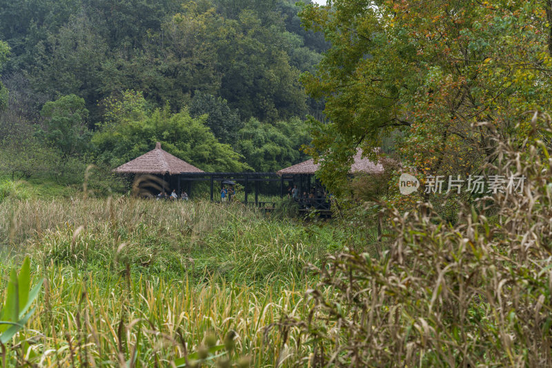 杭州三台山乌龟潭风景