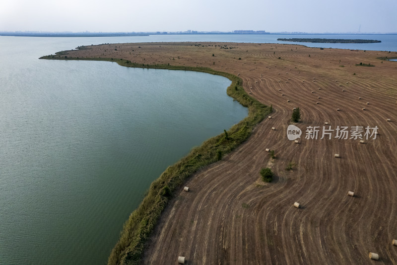 秋天天津团泊湖稻田草垛农业风光航拍